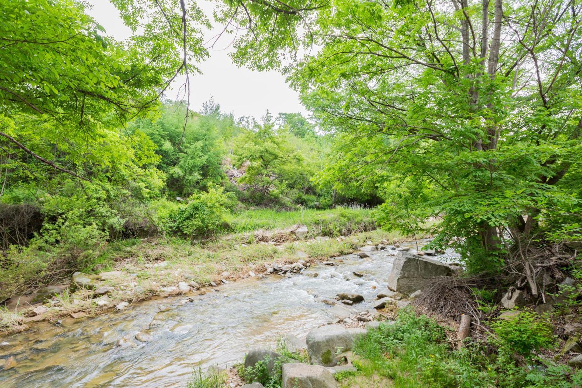 Bongpyeong Moolsori Pension Pyeongchang Buitenkant foto